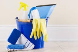 Cleaning Protocols