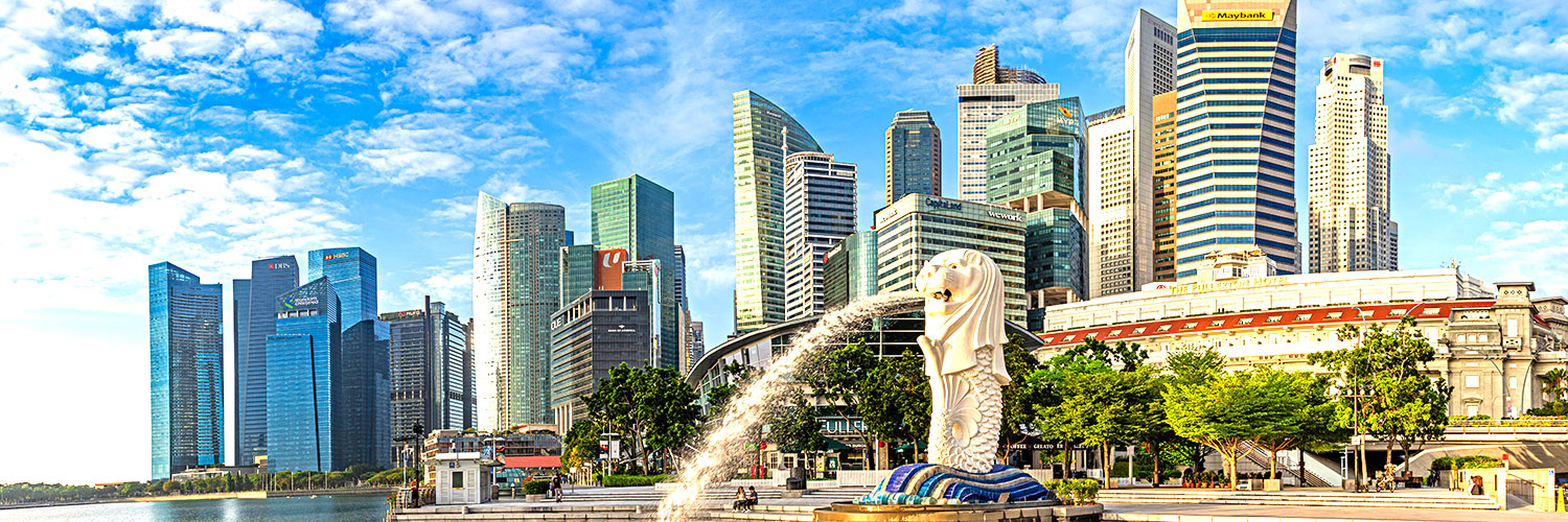 世博会真实活动横幅